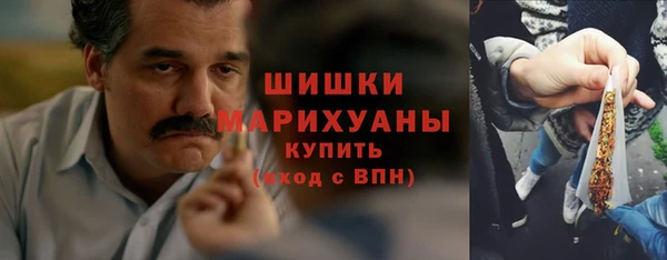 ГАЛЛЮЦИНОГЕННЫЕ ГРИБЫ Кукмор