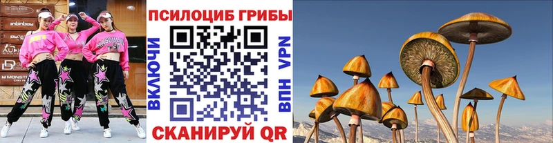 закладка  Кукмор  Псилоцибиновые грибы прущие грибы 